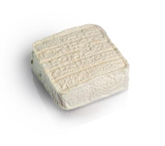 Pavé d'Oc Blanc