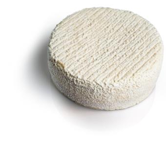 Tomme du Puy St Georges