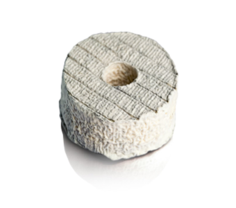 Rouelle cendrée
